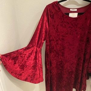Reborn j velvet bell sleeve dress